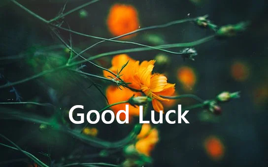Good Luck,