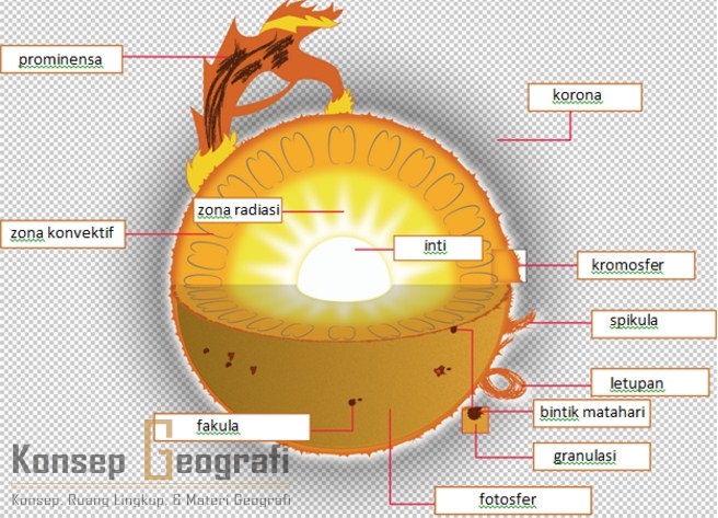  Struktur Matahari  Secara Umum Lengkap Gambarnya Konsep 