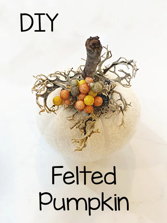 felted white pumpkin and overlay