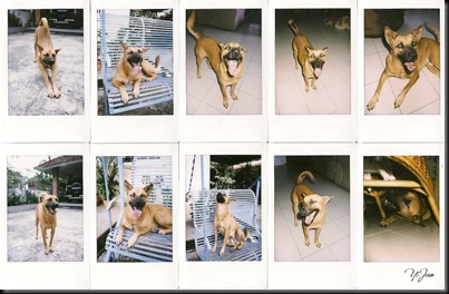 scan0002