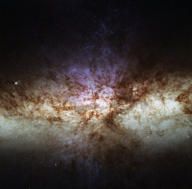 perbedaan-visi-terhadap-galaksi-cerutu-informasi-astronomi