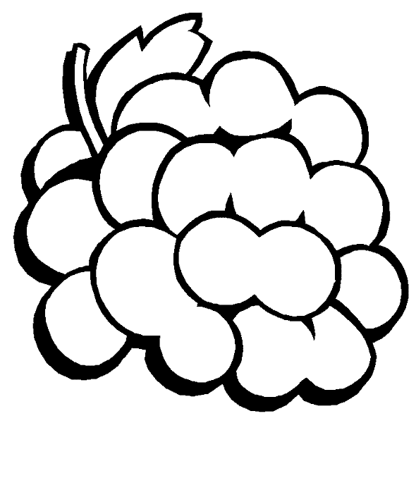 Download Free Grapes Coloring Pages