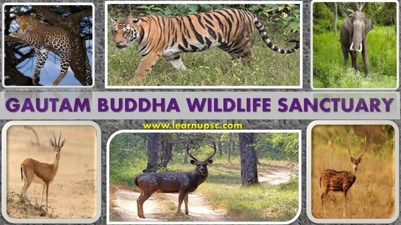 Gautam Buddha Wildlife Sanctuary