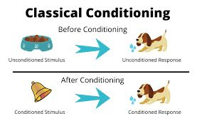 Classical Conditioning