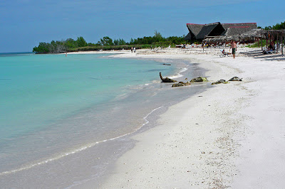 Cayo Jutías