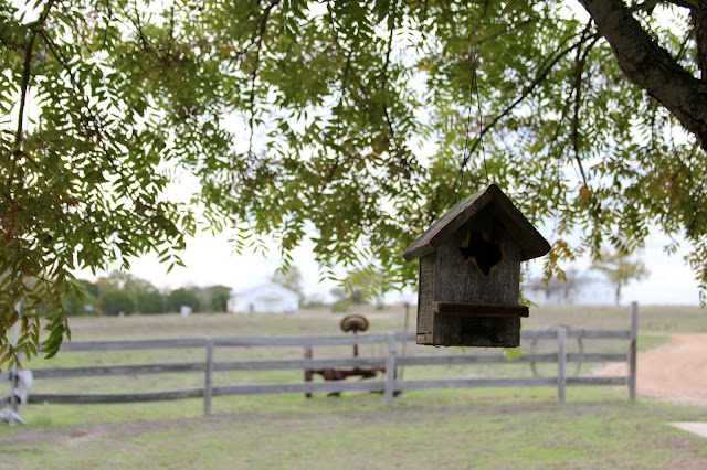 Texas Birdhouse at San Gabriel River Inn-Joppa Church in Background-Joppa, Texas