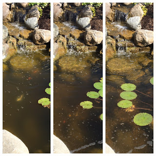 clearing pond water with aerator