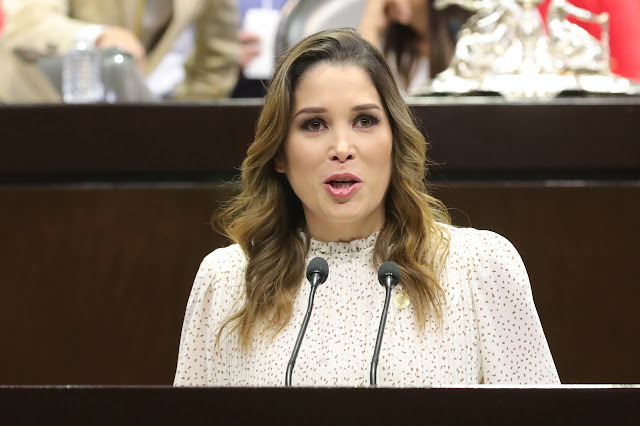Reforma a Ley General de Protección de Datos Personales en Posesión de Sujetos Obligados fortalece protección de la privacidad: Ximena Puente