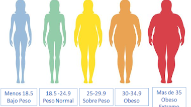 como se calcula el indice de masa corporal