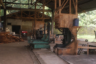 saw mill mahoni berkat anugrah jaya