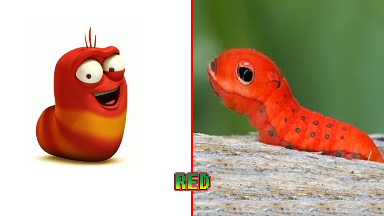 Gambar Lucu Kartun Larva Kantor Meme