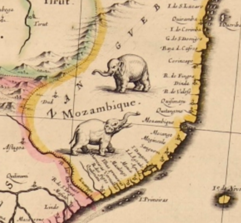 close-up of Mozambique with illustrated elephants.