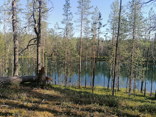 Lampi Kuusamon Tropiikin lähellä