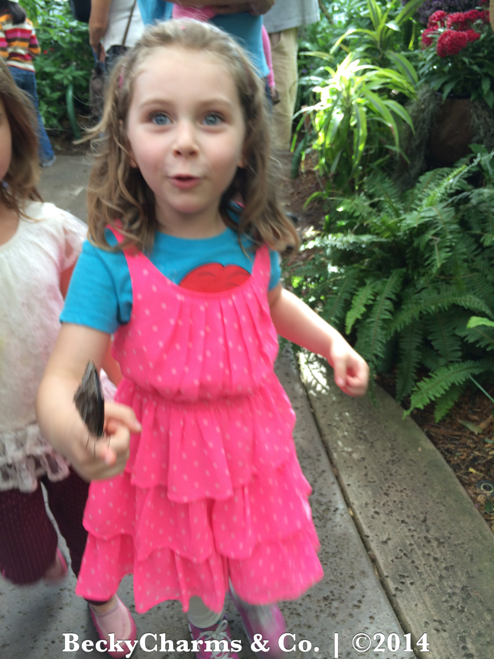Our Trip to Butterfly Jungle at San Diego Safari Park for Spring Break 2014 by BeckyCharms