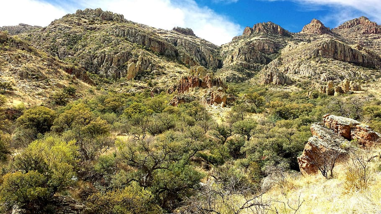 Los chaparrales pueden confundirse con desiertos rocosos en algunas zonas de frontera.