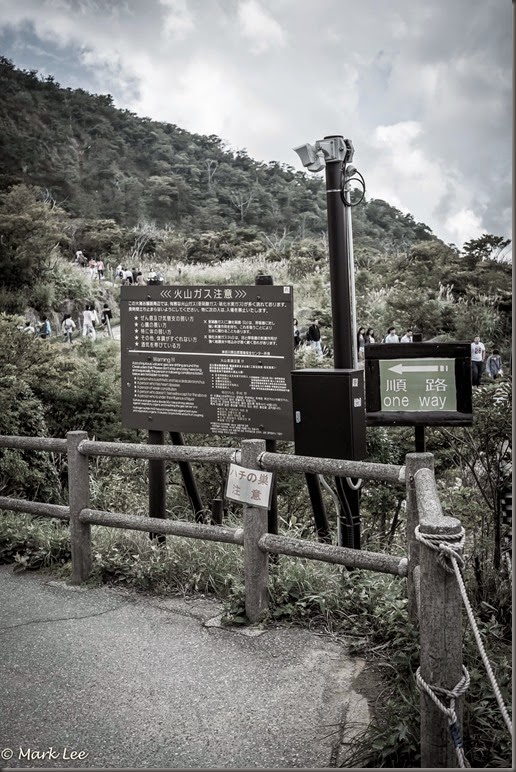 DSCF352561