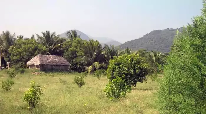 Agriculture land For Sale at Palamedu