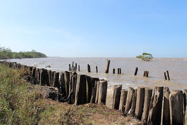 suriname