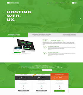 BT Hosting - Responsive Template for Hosting and Corporate 