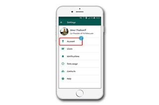 cara membuat whatsapp tidak terlihat online di iphone