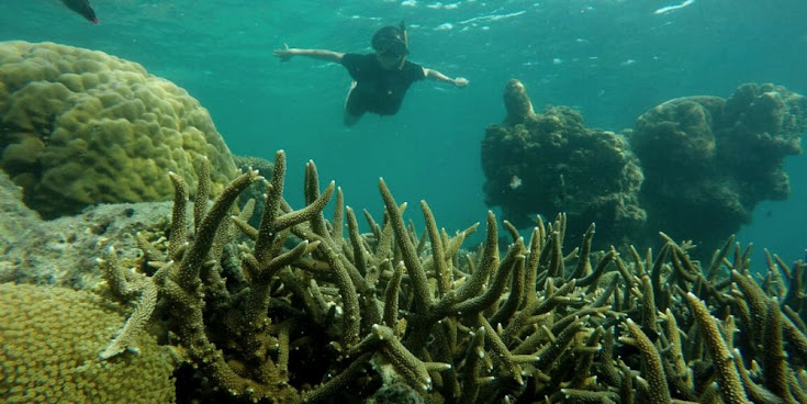 underwater pulau pari