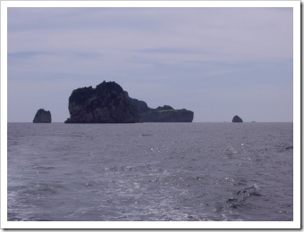 clip_image002