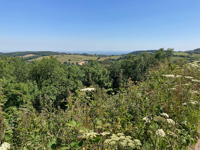 Somewhere north of Taunton