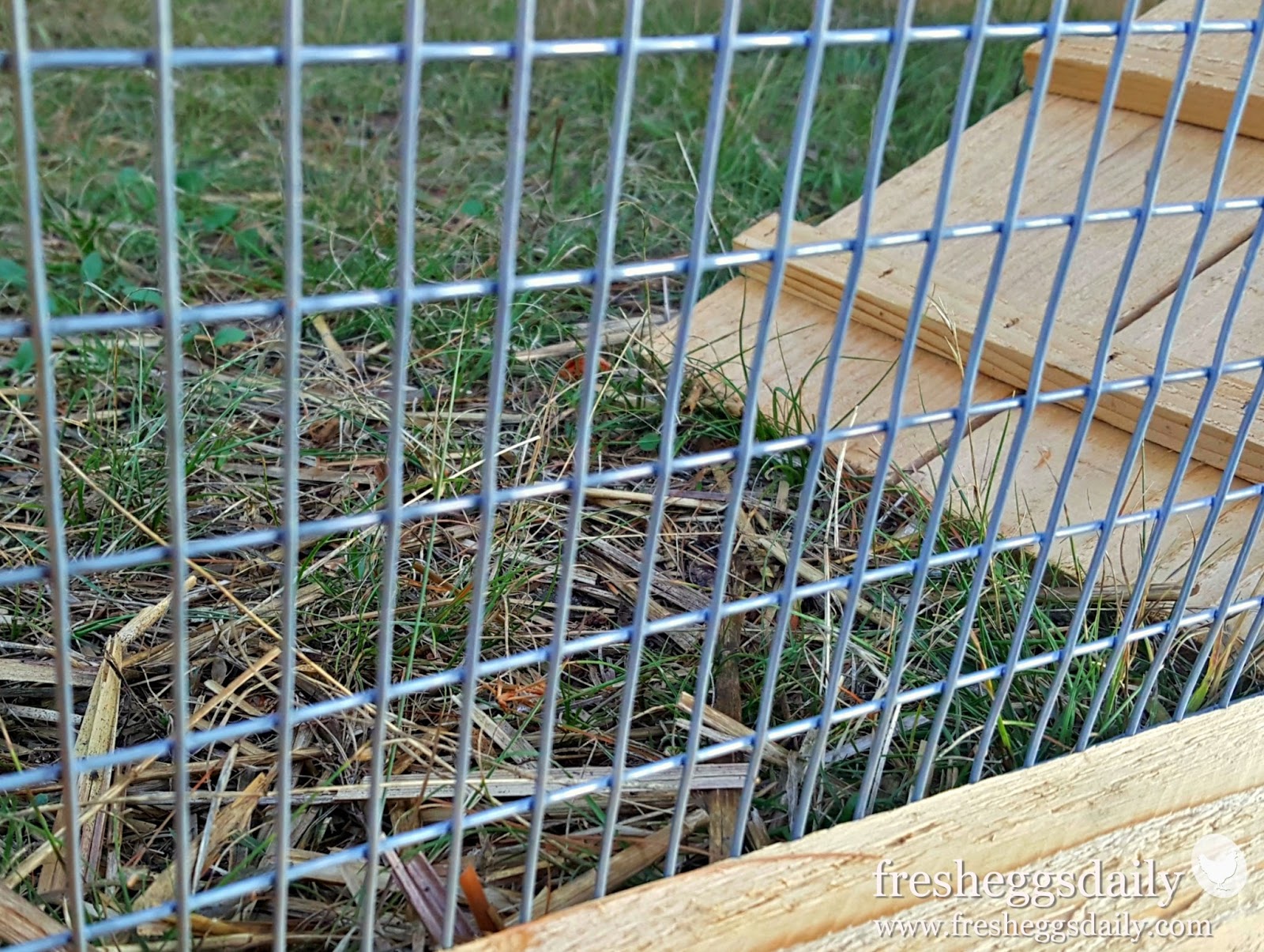 Choosing The Right Fencing For Your Chicken Coop Run Or