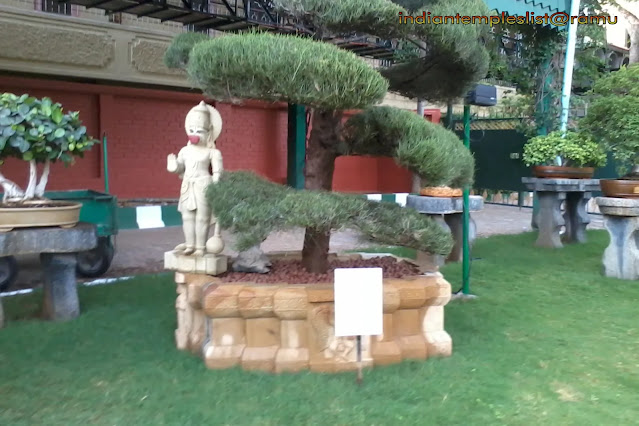 Bonsai Trees - Datta Peetham - Mysore