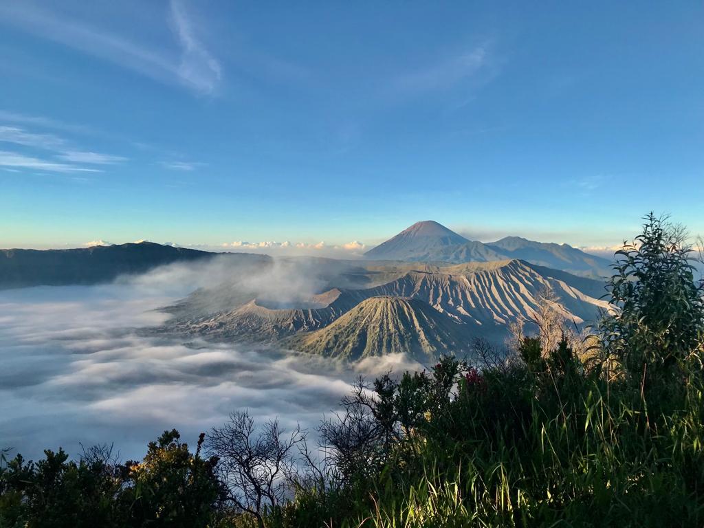 TOUR BROMO PANORAMA 1D