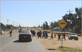 Kids Crossing