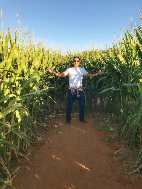 Fun Fall Corn Maze in San Diego