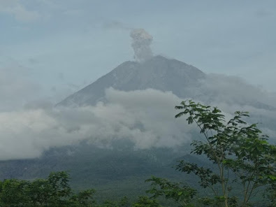 Pada Hari Jumat Gunung Semeru Mengalami Erupsi ,Tinggi Letusan Capai 500 M Dari Puncak