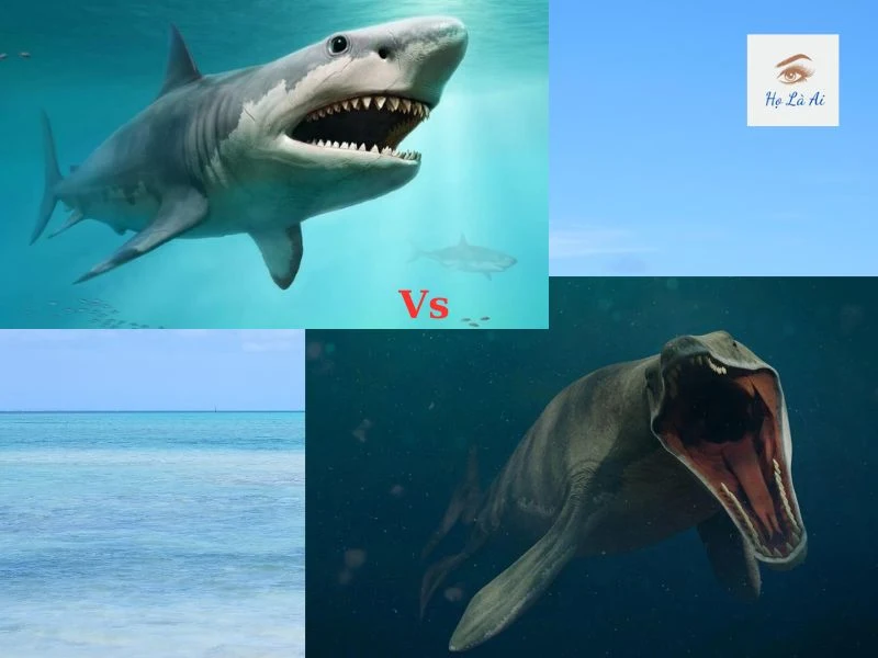 cá mập Megalodon vs Mosasaurus