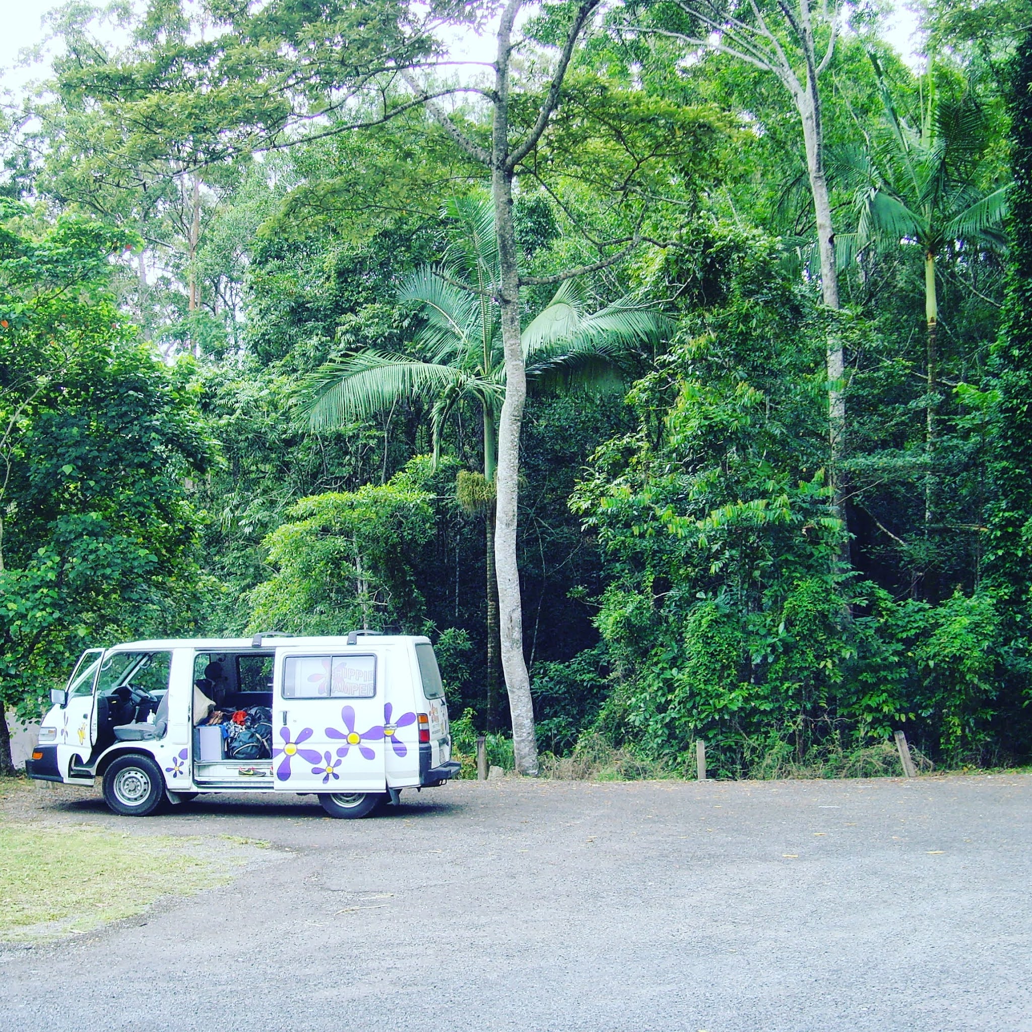 camper van in australia, used to drive from Sydney to Cairns