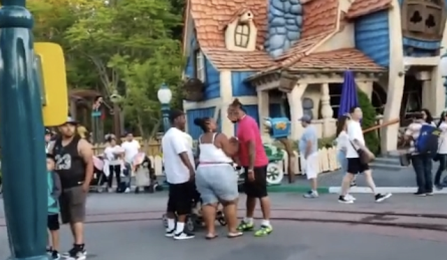 Disneyland Toontown Brawl Caught On Camera: Video