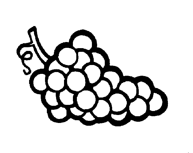 Download Coloring Pages for Kids: Grapes Coloring Pages for Kids