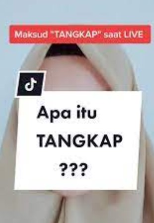 Apa Arti Tangkap di Live TikTok