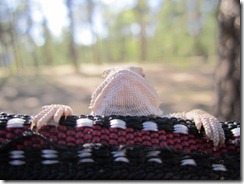 IMG_8494