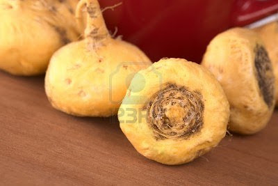 Maca (Lepidium Meyeni) dari Peru, Amerika Selatan adalah herba yang paling HEBAT yang pernah ditemui .Ia dipanggil juara segala tumbuhan disebabkan tahan lasak tumbuh di pergunungan  setinggi 13 000 kaki di Banjaran Andes, tahan kering dan  angin serta frost.