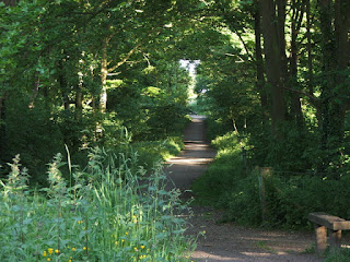 Waggonway in Summer (from Seaton Delaval to Whitby Bay