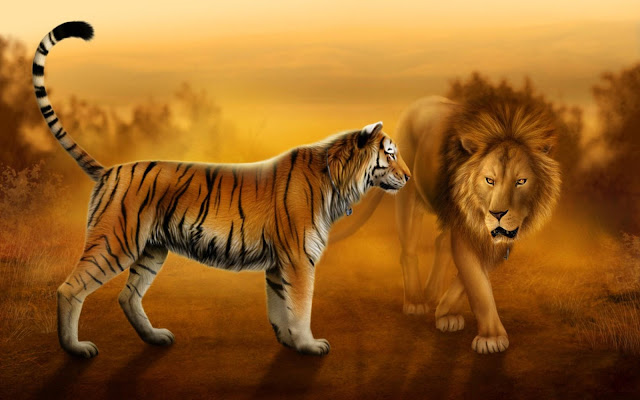  HD  Wallpapers  3D  Lion  Wallpapers 