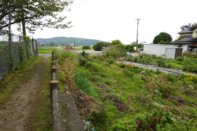 鳥取県米子市淀江町高井谷　天の真名井公園　遊歩道