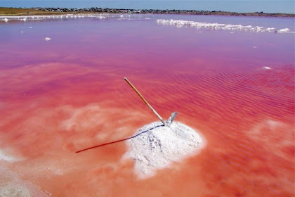 8 Danau Berwarna Pink Yang Mirip di Negeri Dongeng