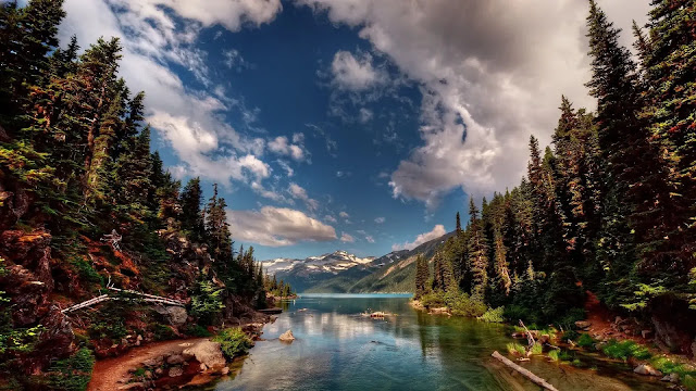 Yellowstone National Park