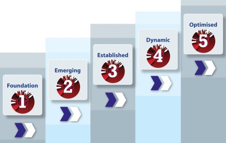 Maturity model