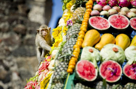 Monkey Buffet Festival of Thailand