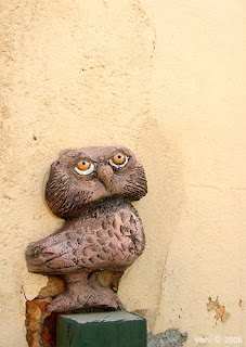 wall owl