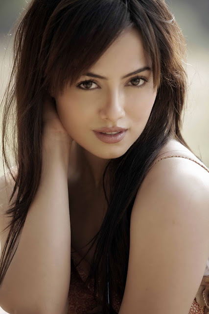 Sana Khan Hot Stills actress gallery