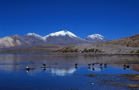 Вулканы Чили - Паринакота и Померапе